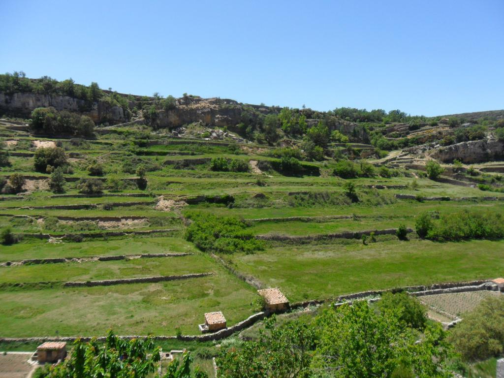 Dalias Con Hidromasaje