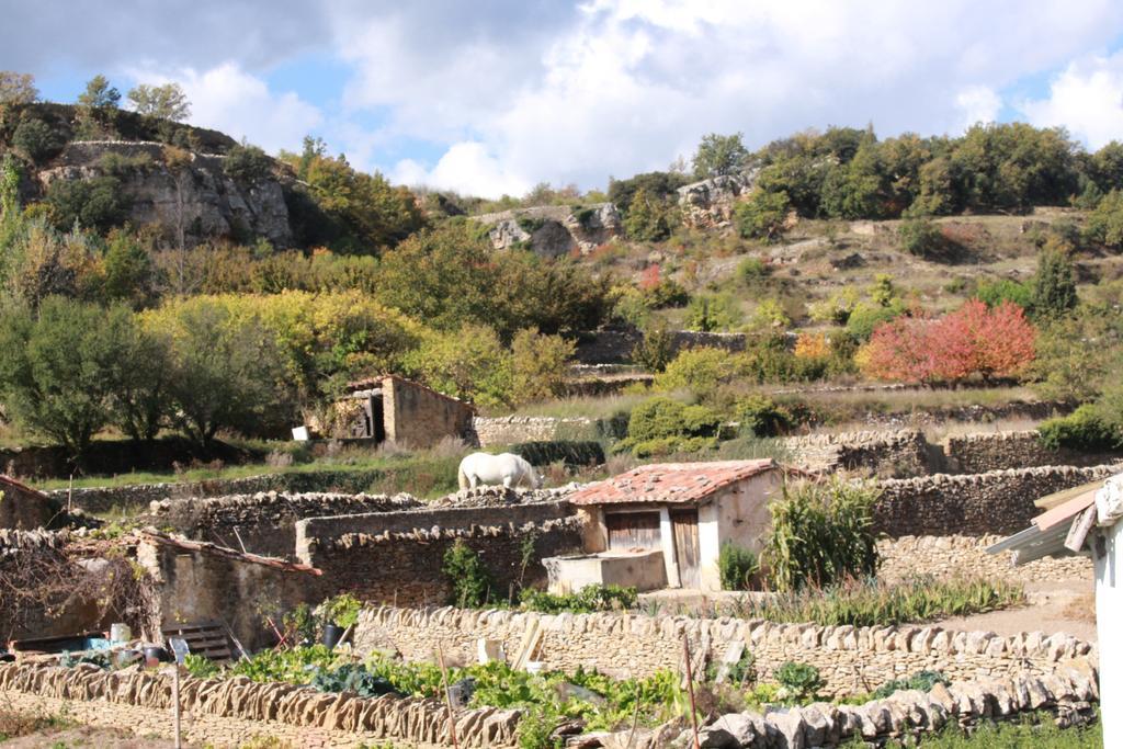 Dalias Con Hidromasaje Country house Villafranca del Cid