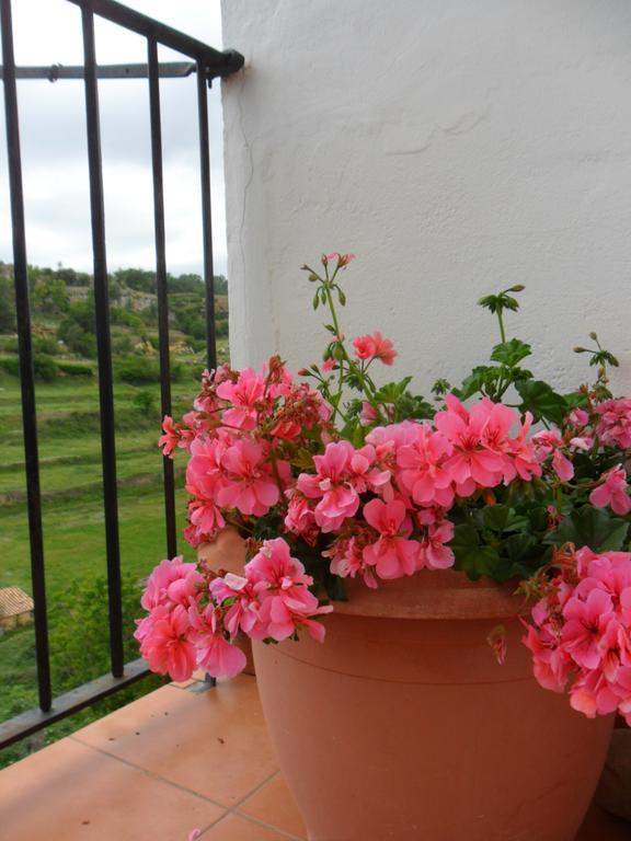 Dalias Con Hidromasaje Villafranca del Cid