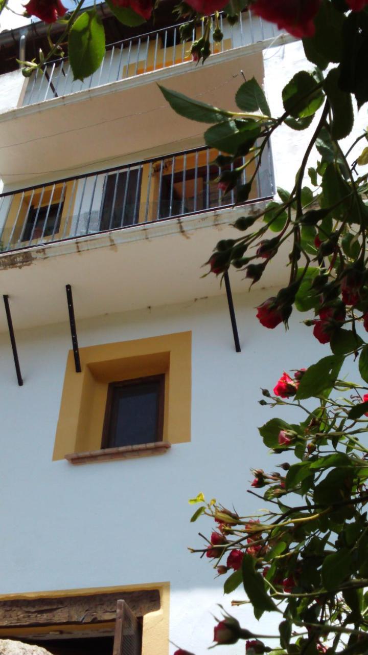 Dalias Con Hidromasaje *
